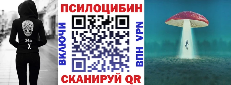 Псилоцибиновые грибы MAGIC MUSHROOMS  мориарти телеграм  Бакал 